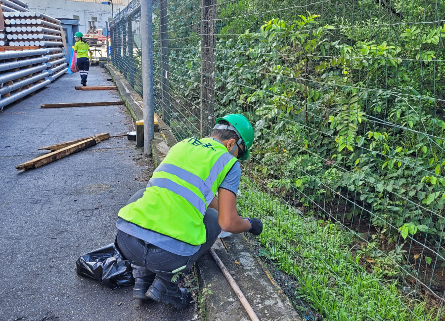   Reciclar é Agir: TESC Mobiliza Colaboradores em Prol da Sustentabilidade