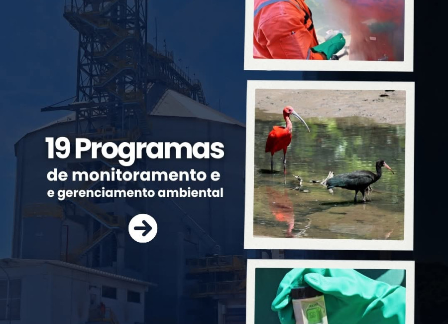 TESC Sustentável: Práticas que Transformam o Presente e o Futuro